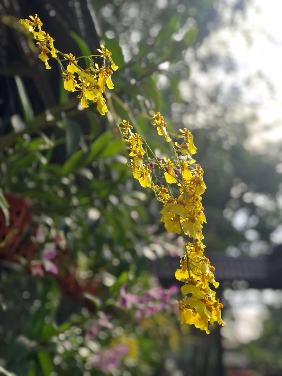 Thanh Thuy Ho Chi Minh Zewnętrze zdjęcie